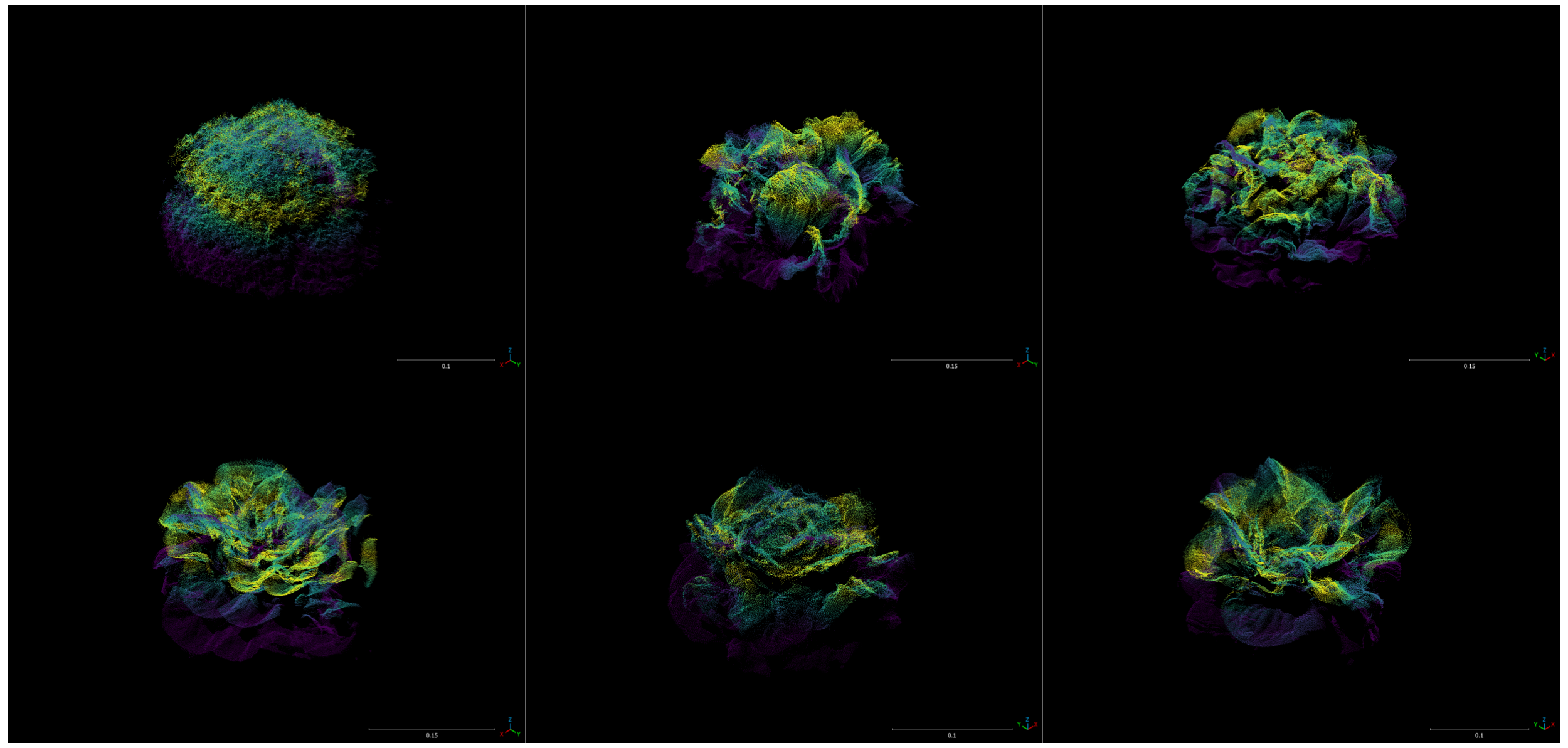 test image