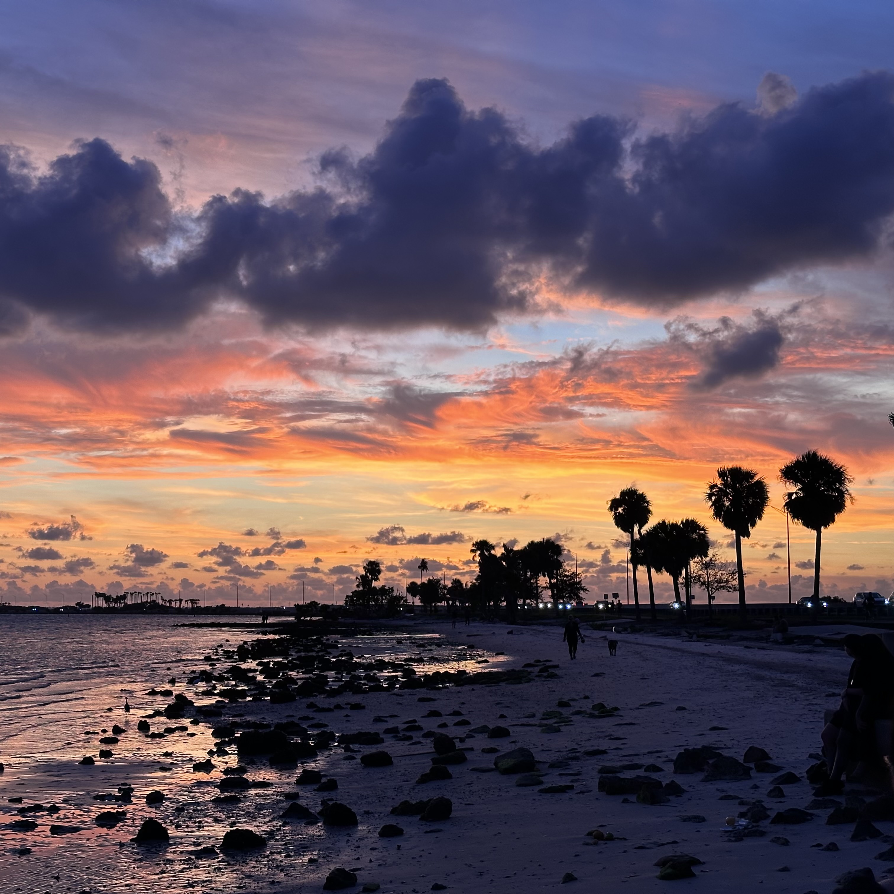 Tampa